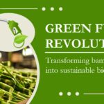 A Future-Focused Strategy for Sustainable Biofuel Production Using Bamboo